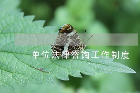 单位法律咨询工作制度 单位法律咨询工作制度