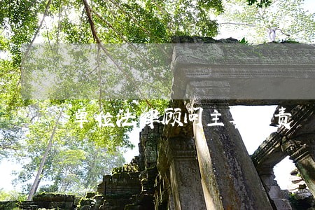 单位法律顾问主要职责 单位法律顾问主要职责
