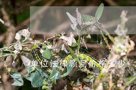 单位法律顾问价格多少 单位法律顾问价格多少