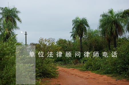 单位法律顾问律师电话 单位法律顾问律师电话