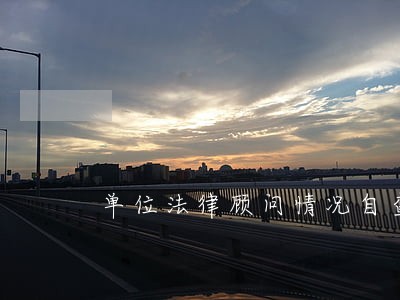 单位法律顾问情况自查 单位法律顾问情况自查