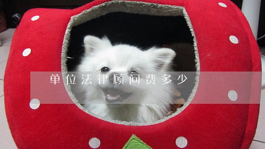 单位法律顾问费多少 单位法律顾问费多少