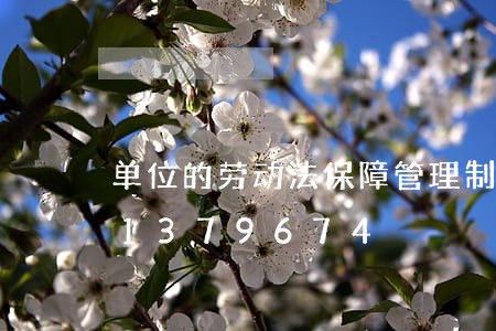 单位的劳动法保障管理制度/2023021379674 单位的劳动法保障管理制度/2023021379674