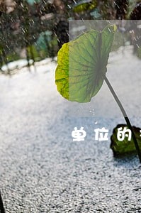 单位的社保基金能否冻结 单位的社保基金能否冻结