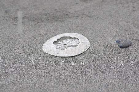单位社保逾期11个月还能恢复吗 单位社保逾期11个月还能恢复吗