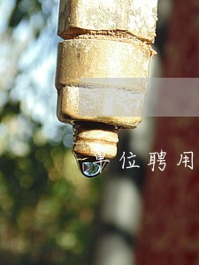 单位聘用法律顾问说明 单位聘用法律顾问说明