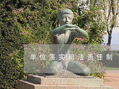 单位落实司法责任制 单位落实司法责任制
