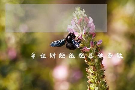 单位财经法规具体条款 单位财经法规具体条款