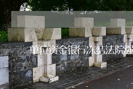 单位资金银行冻结法院强制执行 单位资金银行冻结法院强制执行