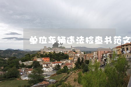 单位车辆违法检查书范文 单位车辆违法检查书范文