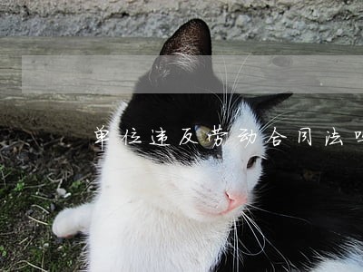 单位违反劳动合同法吗 单位违反劳动合同法吗
