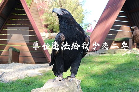 单位违法给我少交二年