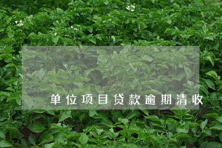 单位项目贷款逾期清收 单位项目贷款逾期清收