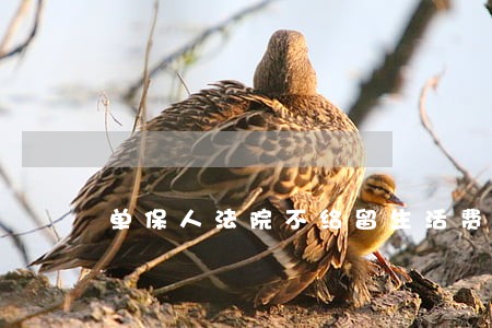 单保人法院不给留生活费吗 单保人法院不给留生活费吗