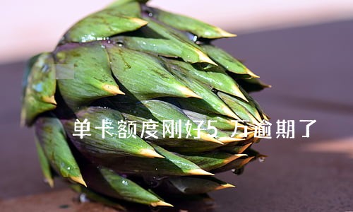 单卡额度刚好5万逾期了 单卡额度刚好5万逾期了