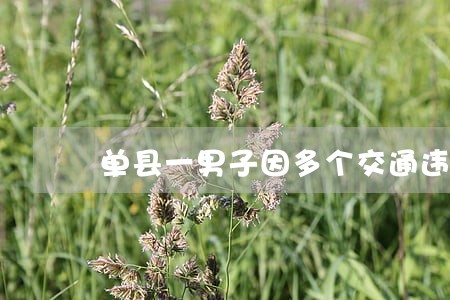 单县一男子因多个交通违法行为 单县一男子因多个交通违法行为