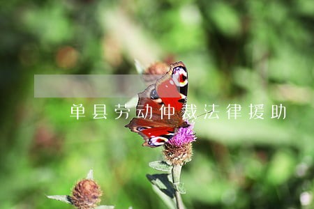 单县劳动仲裁法律援助 单县劳动仲裁法律援助