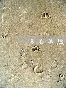 单县法院齐俊禹 单县法院齐俊禹