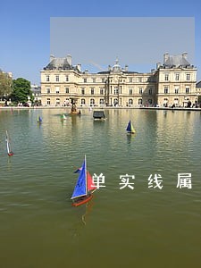单实线属于哪条法规 单实线属于哪条法规