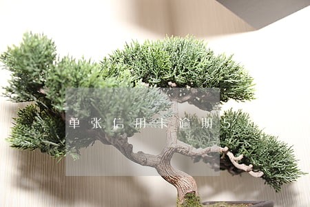 单张信用卡逾期5万以上如何处理