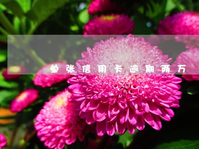 单张信用卡逾期两万