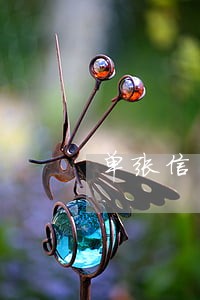 单张信用卡逾期本金不足5万 单张信用卡逾期本金不足5万