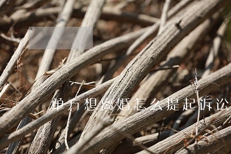 单方想离婚怎么提起诉讼
