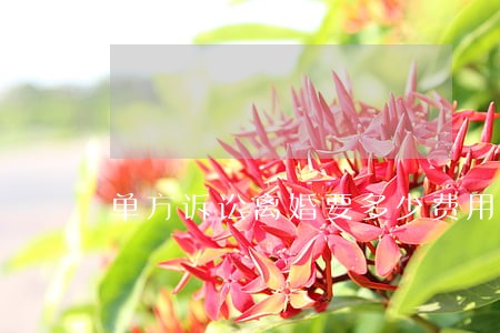 单方诉讼离婚要多少费用 单方诉讼离婚要多少费用