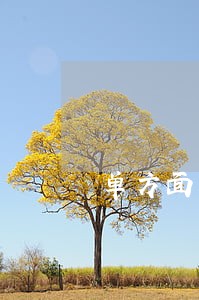 单方面离婚协议