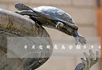 单月逾期最高金额3467元 单月逾期最高金额3467元