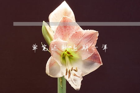 单笔还款逾期一年