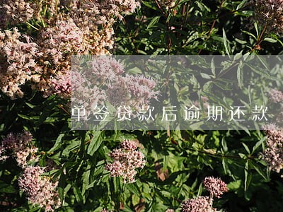 单签贷款后逾期还款 单签贷款后逾期还款