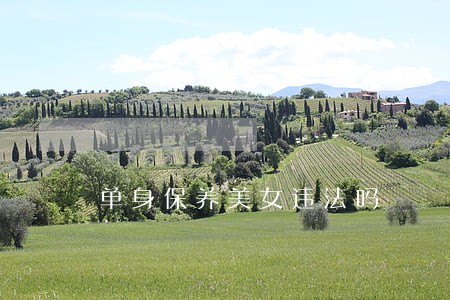 单身保养美女违法吗