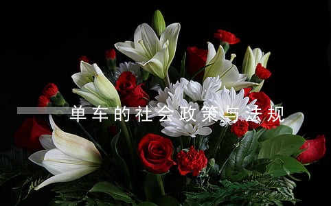 单车的社会政策与法规