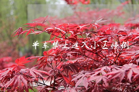 单车禁止进入小区条例 单车禁止进入小区条例