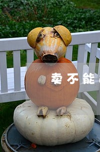 卖不能过户的机动车违法吗 卖不能过户的机动车违法吗