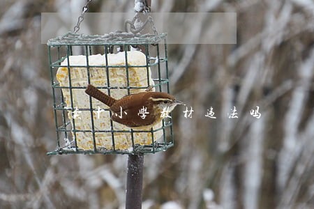 卖中小学教材违法吗