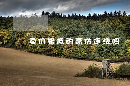 卖价格低的高仿违法吗