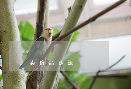 卖仿品违法