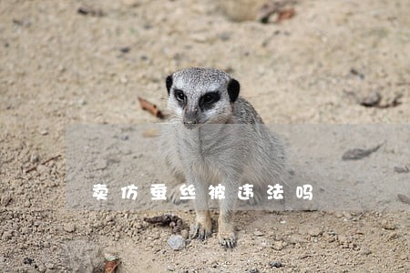 卖仿蚕丝被违法吗 卖仿蚕丝被违法吗