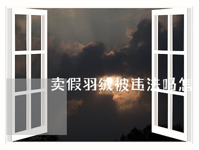 卖假羽绒被违法吗怎么处罚
