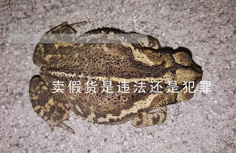 卖假货是违法还是犯罪