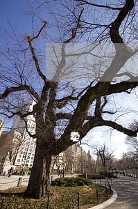 卖写真的算违法吗 卖写真的算违法吗