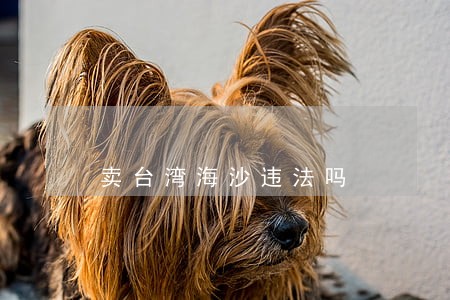 卖台湾海沙违法吗 卖台湾海沙违法吗