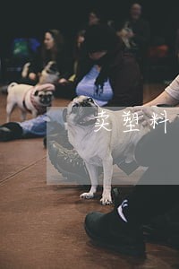 卖塑料水弹枪配件违法不 卖塑料水弹枪配件违法不