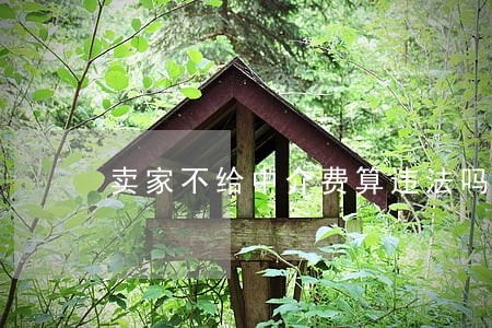 卖家不给中介费算违法吗 卖家不给中介费算违法吗