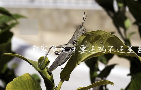 卖家多发件要还吗不还是否违法