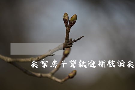 卖家房子贷款逾期被拍卖 卖家房子贷款逾期被拍卖