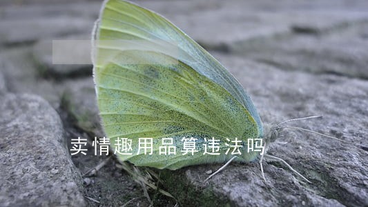 卖情趣用品算违法吗 卖情趣用品算违法吗