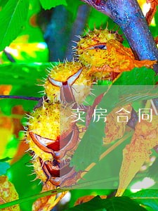 卖房合同纠纷律师团队 卖房合同纠纷律师团队